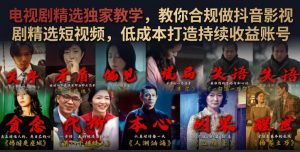 小众高收益影视剪辑赛道,教你合规做精选短视频,零成本起号持续拿收益-猴哥资源站