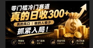 零成本冷门赛道，日入300+真风口，做得人极少，超级简单赶紧入局-猴哥资源站