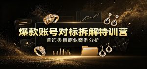 爆款账号对标拆解:首饰类目商业分析,线下三天原声录音+全套资料-猴哥资源站