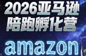 亚马逊SOP全链路孵化,选品避坑+AI竞品+数据报告实操-猴哥资源站