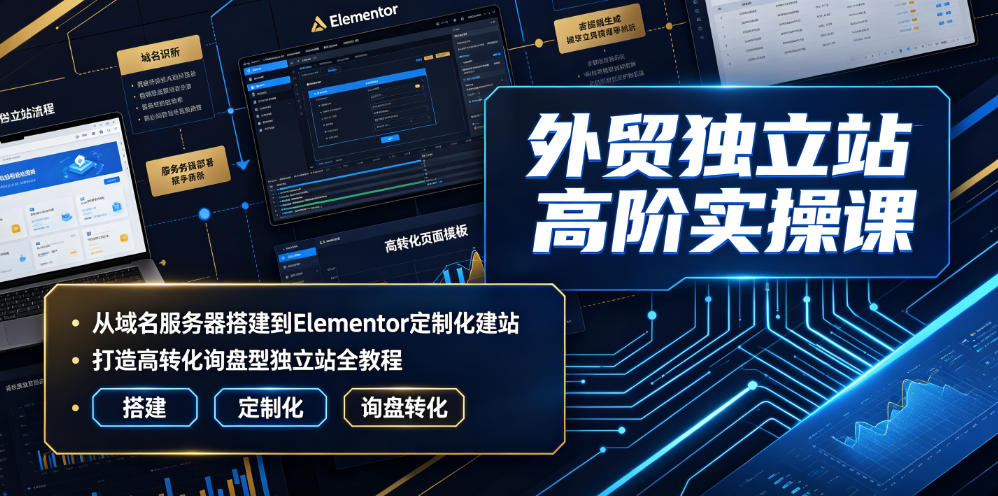 外贸独立站高阶实操，域名服务器搭建+Elementor定制化建站+高转化询盘-猴哥资源站
