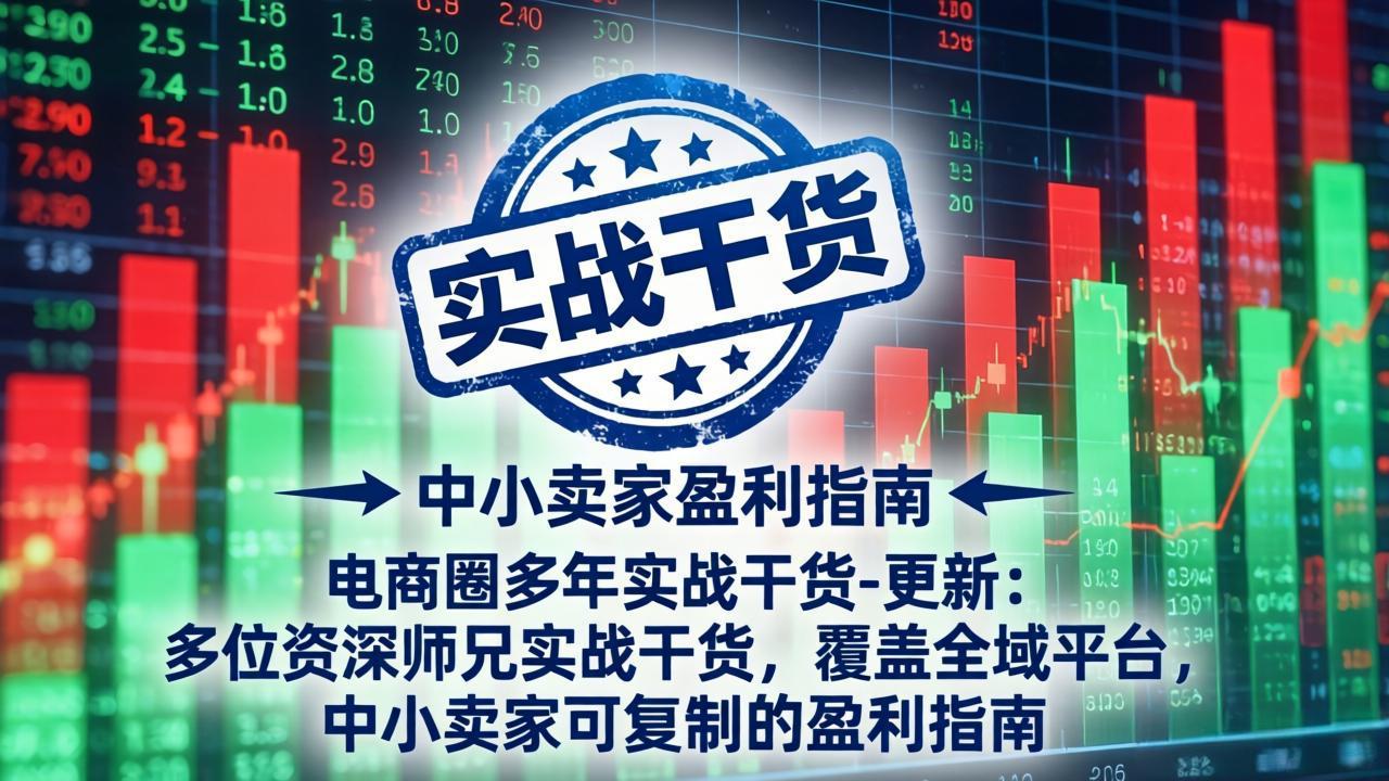 电商圈多年实战干货：多平台可复制的盈利指南，中小卖家避坑提效-猴哥资源站
