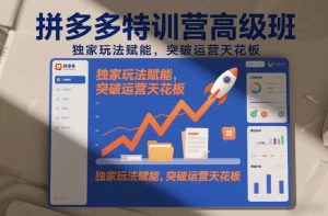 拼多多特训营高阶班:独家玩法赋能,突破运营天花板-猴哥资源站