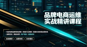 品牌电商运维实战精讲,吃透品牌落地逻辑穿越周期搭建长效变现体系-猴哥资源站