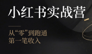 金金老师·小红书实战营拆解，15天从账号定位到爆款生产全落地-猴哥资源站