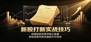 新股打新实战技巧，读懂招股说明书核心数据拿捏顶格市值提升中签率-猴哥资源站