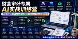 财会审计AI实战训练营，Python审计工具箱+Excel VBA加载项落地-猴哥资源站