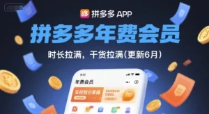 拼多多年费会员实战课，底层逻辑拉满干货，从根源实现稳定盈利-猴哥资源站