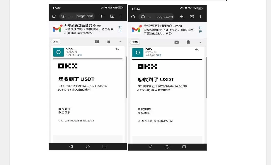 图片[4]-《视频托管全自动挂机，多开窗口日入20-50美元实战攻略》-猴哥资源站