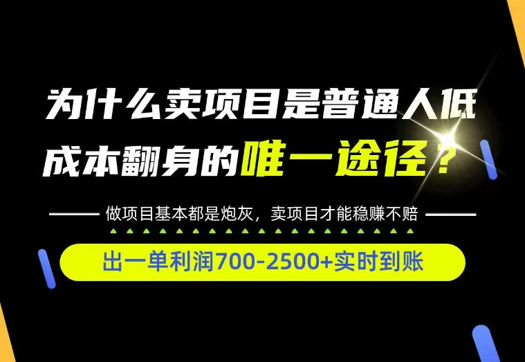 《零基础互联网创业全类目实操，普通人从0到1赚到第一桶金》-猴哥资源站