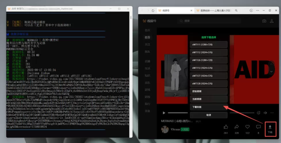 Github热门工具,视频号下载神器又来了!一键注入下载按钮,轻松下载,使用便捷wx_channel
