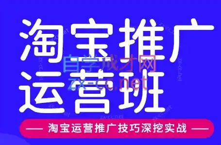 《淘宝店铺突围实战：选品到爆款全链路拆解，小白也能逆袭》-猴哥资源站