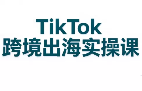 《TikTok跨境出海实操全攻略，零基础搭建海外账号矩阵》-猴哥资源站