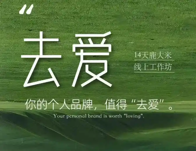 《去爱14天个人品牌实战体系：真实定位+共振表达，打造自带吸引力的IP商业闭环》-猴哥资源站