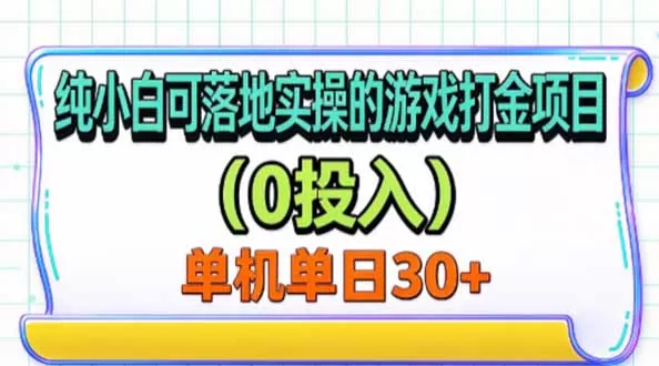 《零投入打金项目，单机日入20+，小白宝妈都能批量放大》-猴哥资源站
