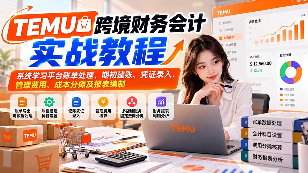 《TEMU全盘账务实操：从账单到报表，新手也能独立做账》-猴哥资源站