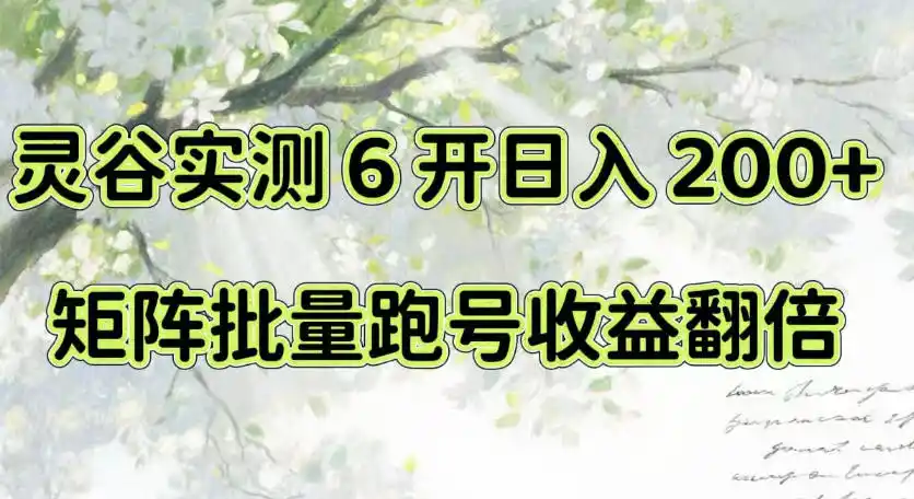 《电脑挂机6开日入200+，矩阵批量跑号收益翻倍的实战全解》-猴哥资源站